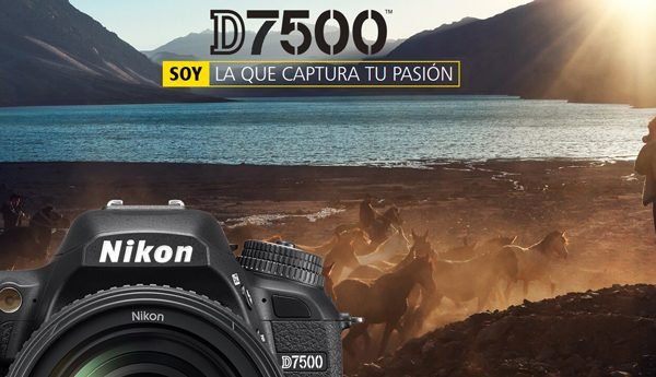Cámara Nikon D7500 (Zero Shot) - Imagen 2